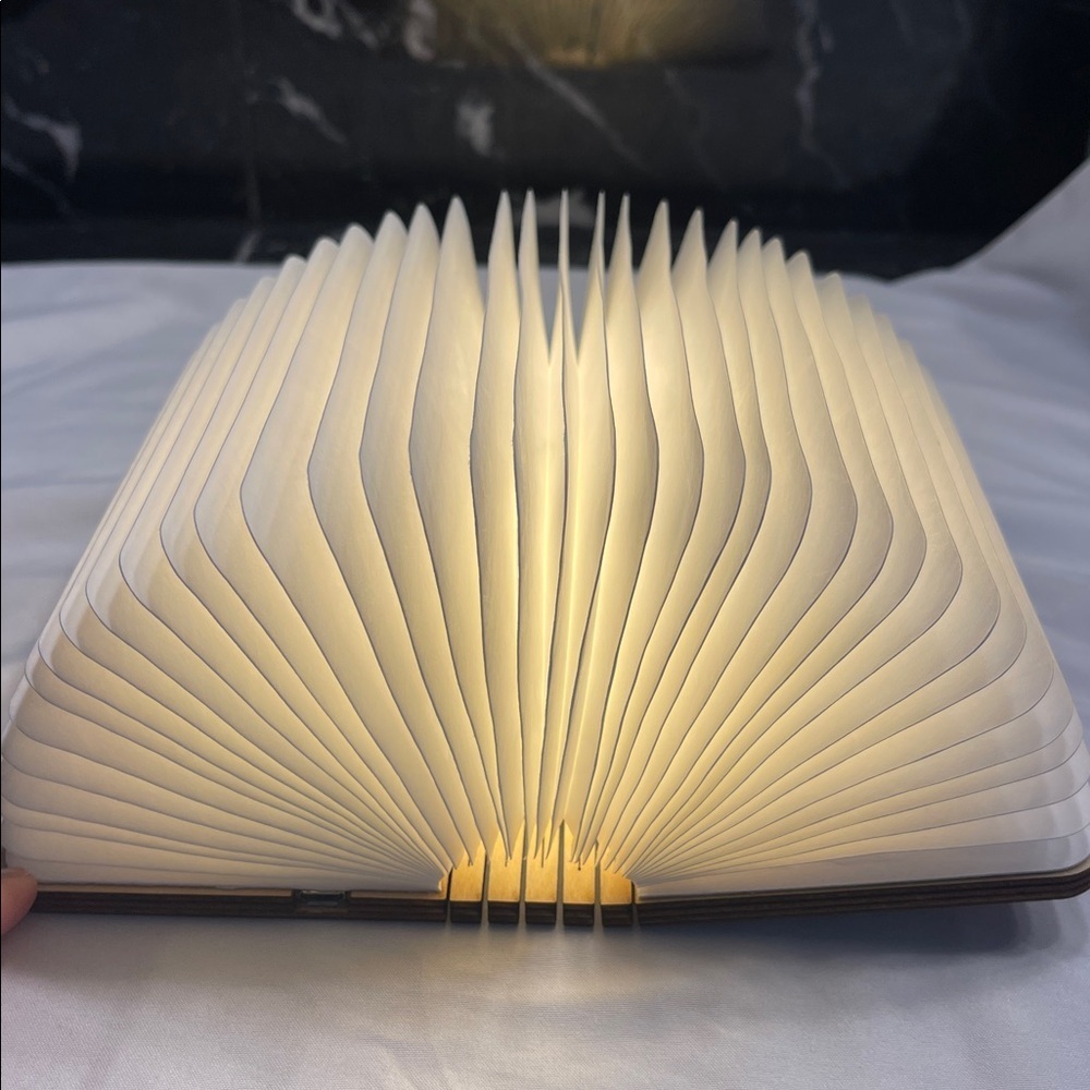 GINKO Mini Smart Book Light - Walnut - Picture 2 of 7